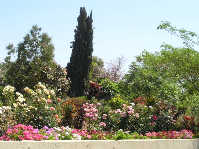 קו - הנוף : תיכנון ,עיצוב ,והקמת גנים .